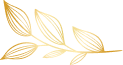Vector (2)